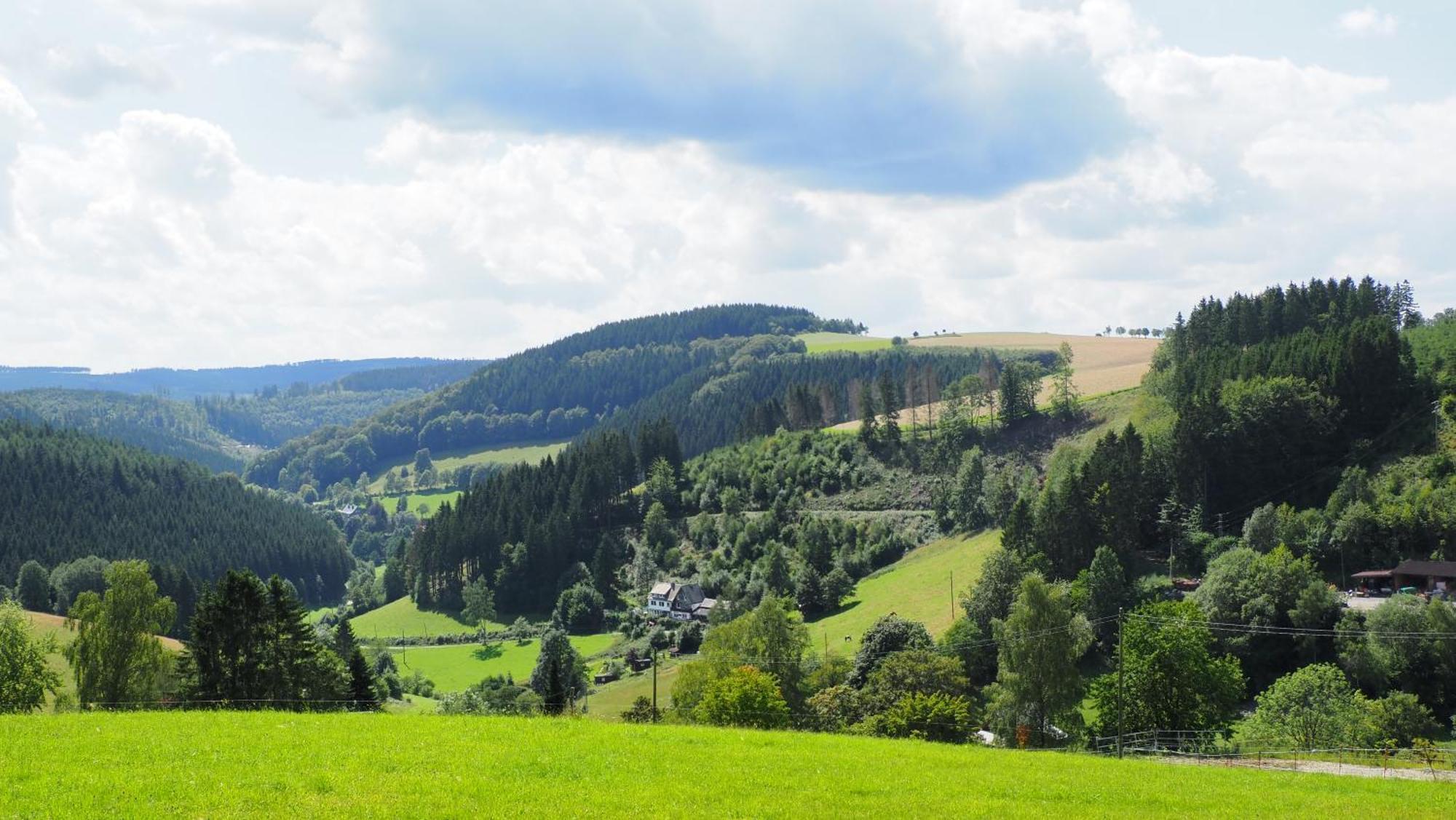 Villa Jagthaus Am Rappelstein Schmallenberg Esterno foto