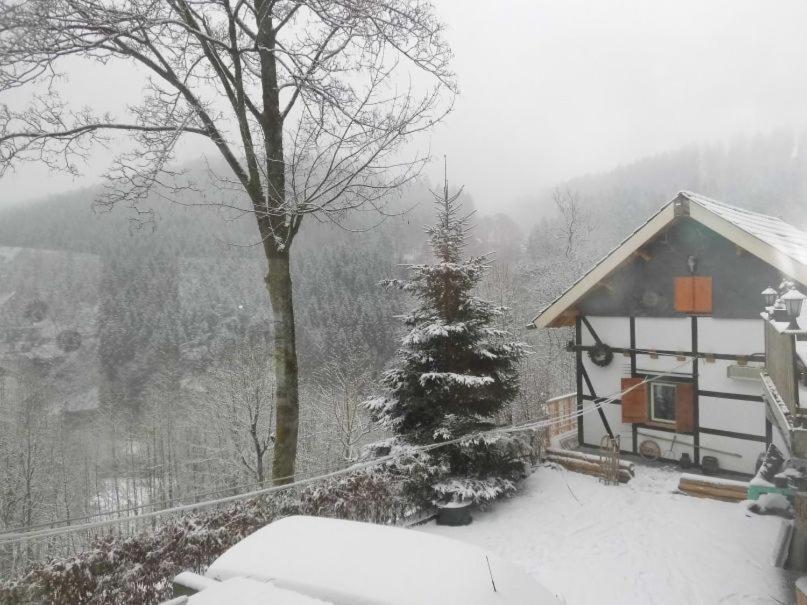 Villa Jagthaus Am Rappelstein Schmallenberg Esterno foto